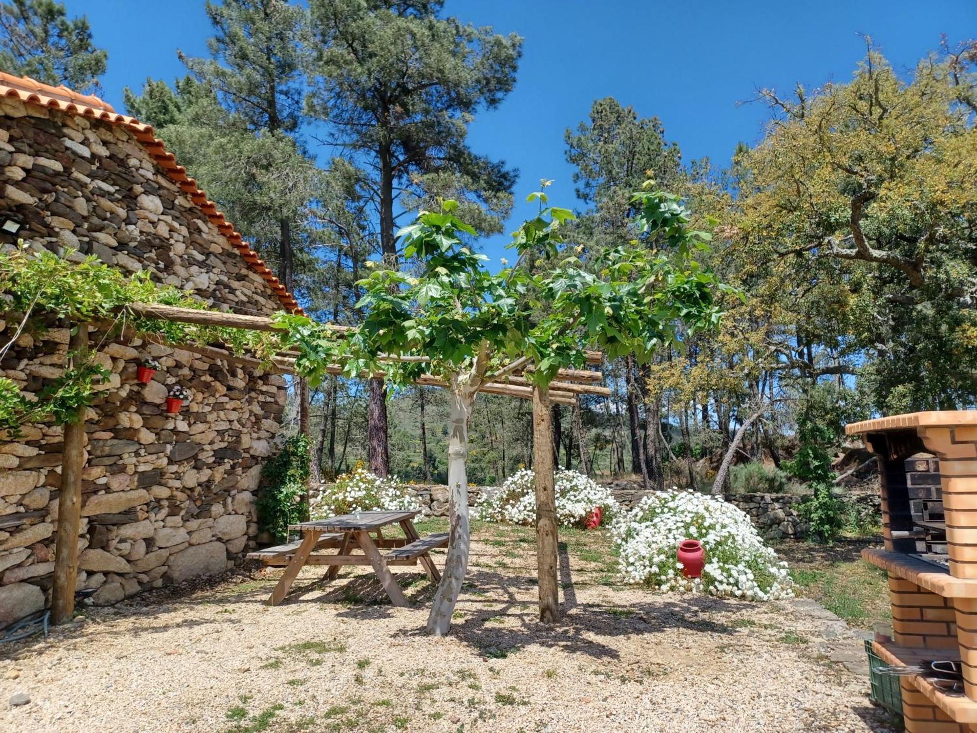 Casa Do Feitor - Douro - Quinta Da Cabrida Villa Sendim  Luaran gambar
