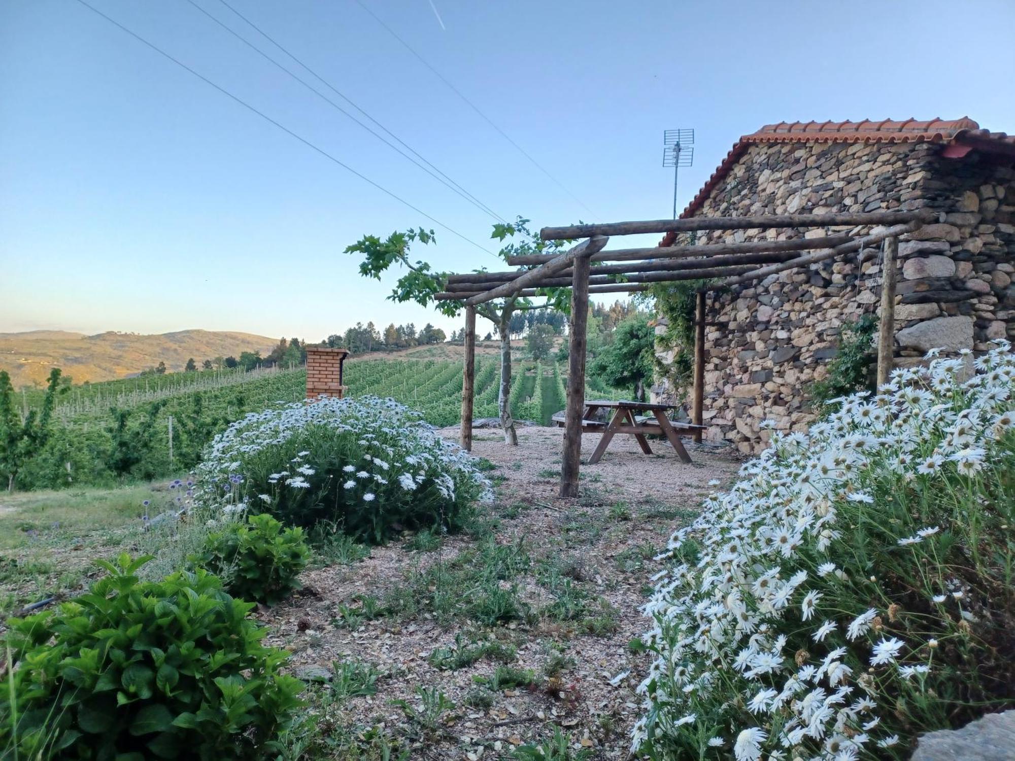 Casa Do Feitor - Douro - Quinta Da Cabrida Villa Sendim  Luaran gambar