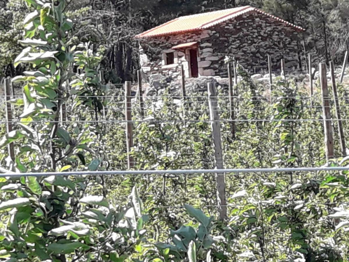 Casa Do Feitor - Douro - Quinta Da Cabrida Villa Sendim  Luaran gambar