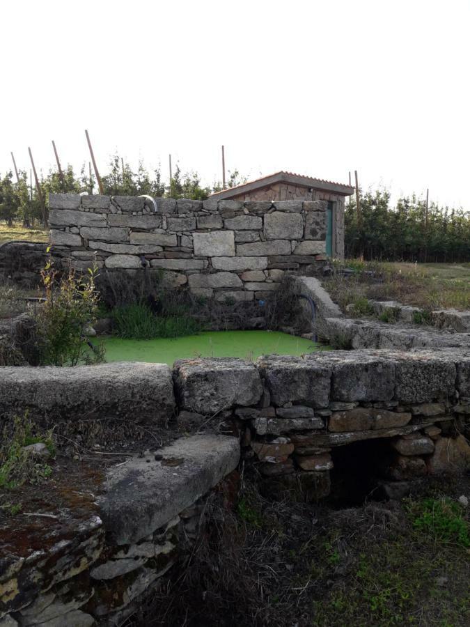 Casa Do Feitor - Douro - Quinta Da Cabrida Villa Sendim  Luaran gambar