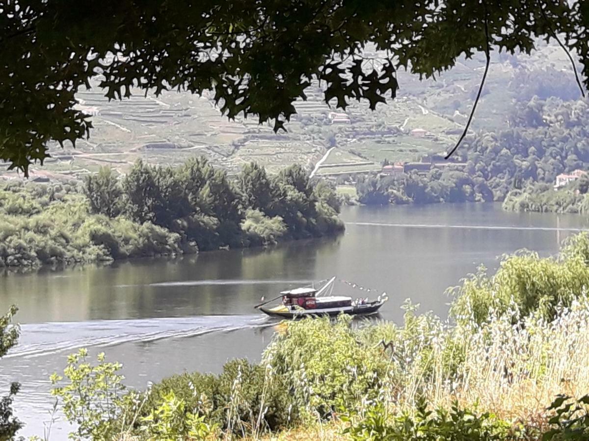 Casa Do Feitor - Douro - Quinta Da Cabrida Villa Sendim  Luaran gambar