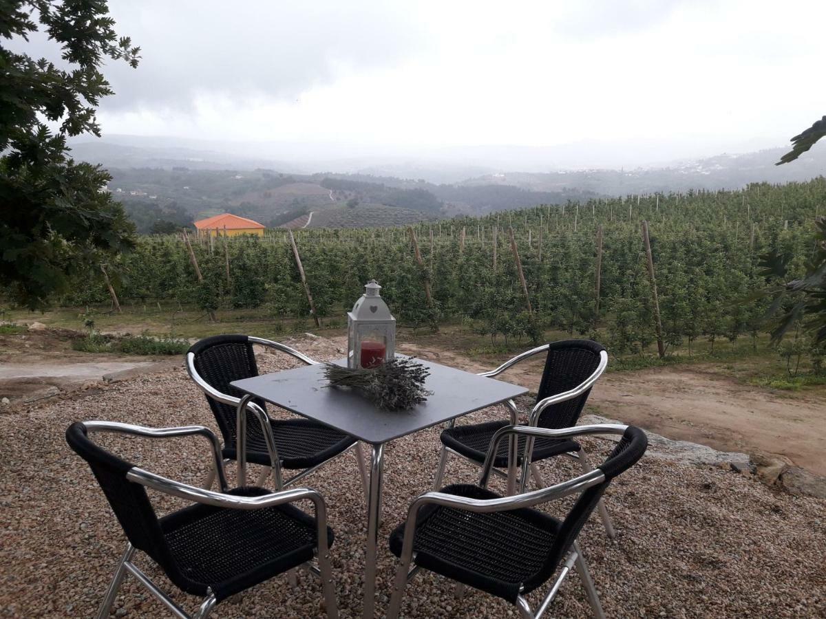 Casa Do Feitor - Douro - Quinta Da Cabrida Villa Sendim  Luaran gambar