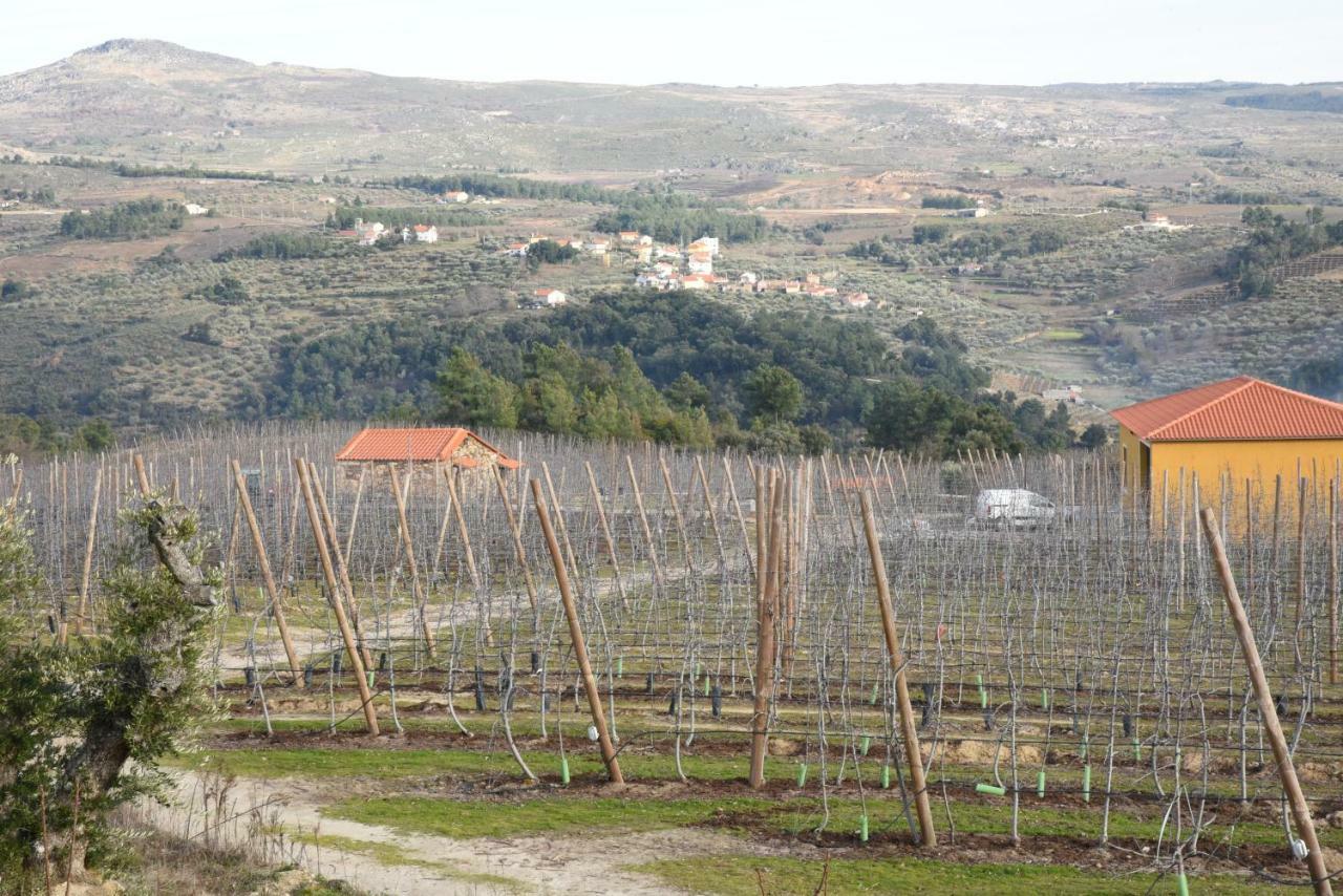 Casa Do Feitor - Douro - Quinta Da Cabrida Villa Sendim  Luaran gambar